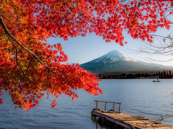 Fuji in Autumn