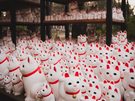 Lucky Cats